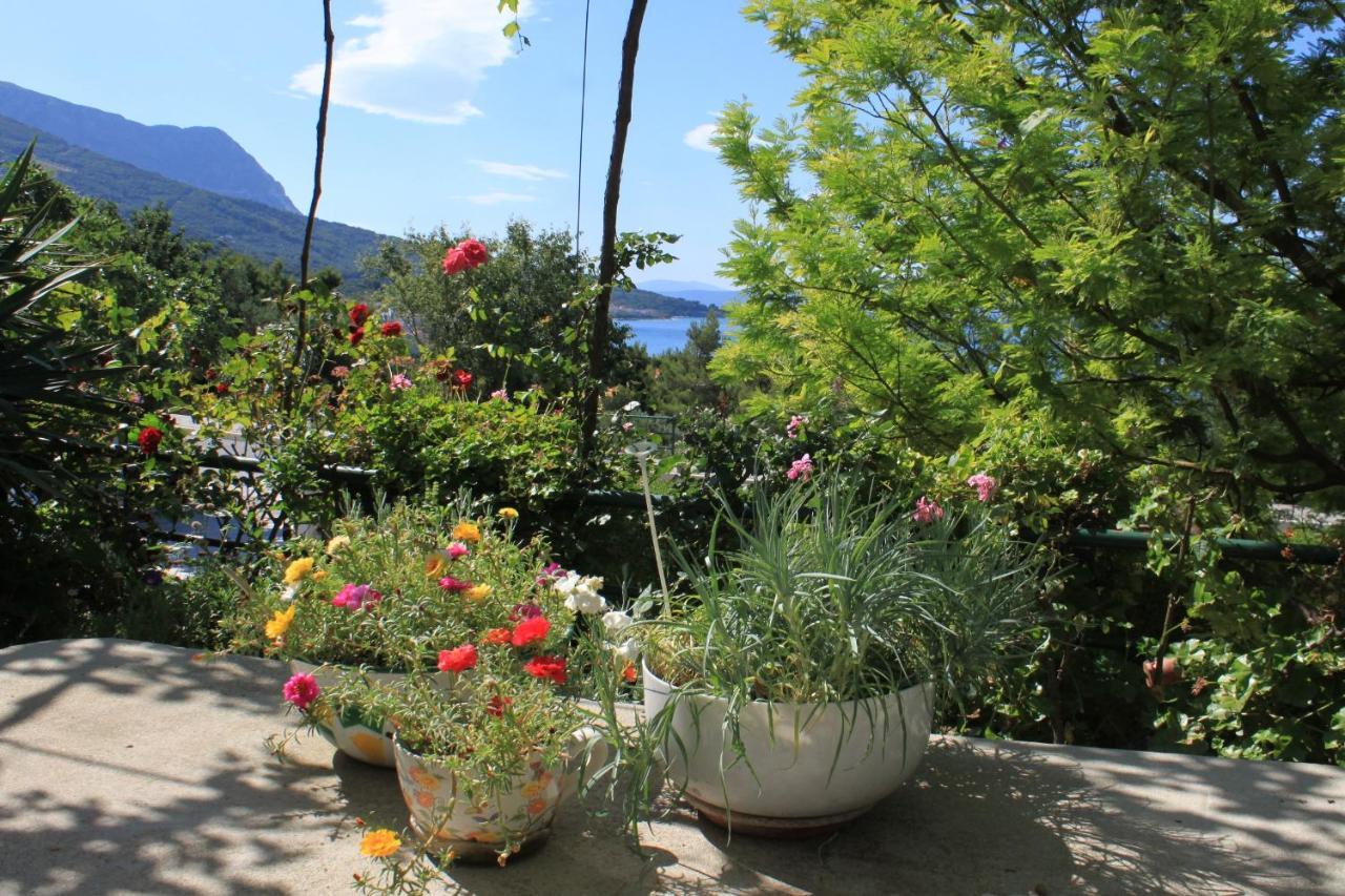 Apartments And Rooms With Parking Space Tucepi, Makarska - 6901 Экстерьер фото